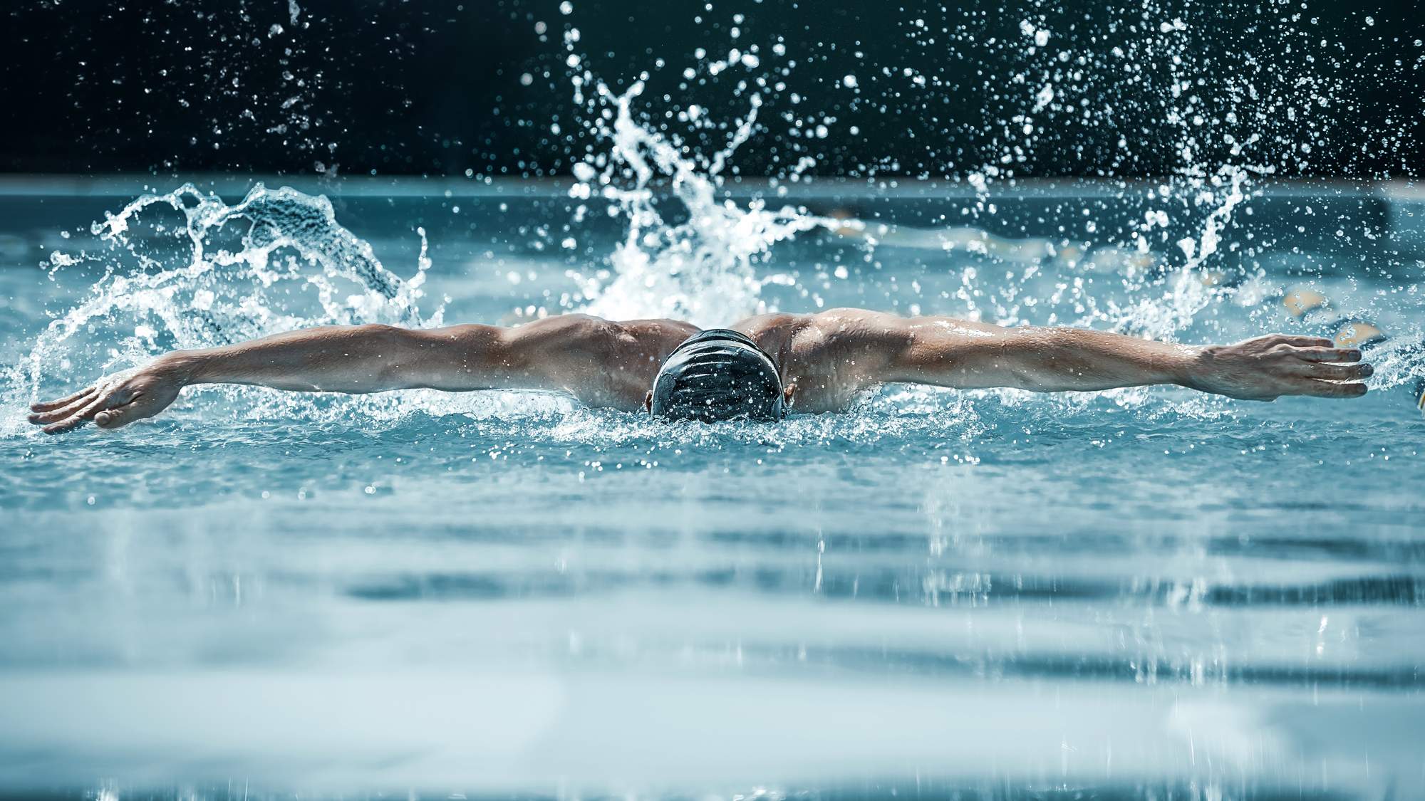 Schwimmer